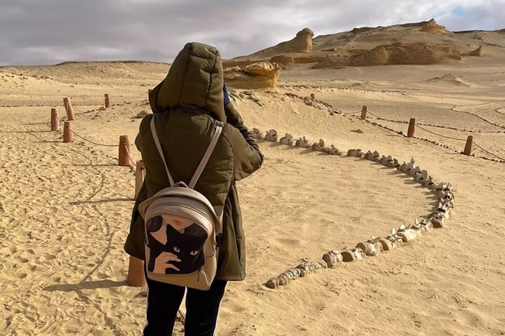 Cairo Private Tour - 