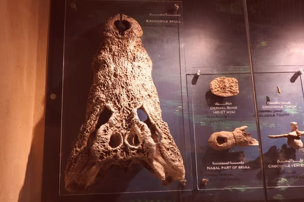 Cairo Private Tour - 