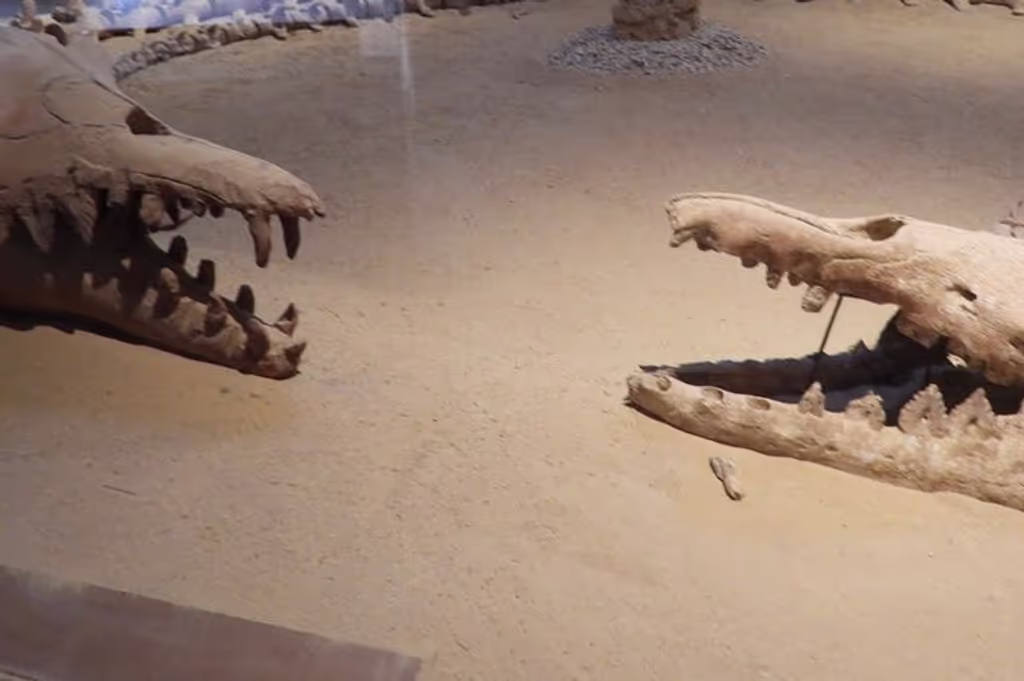 Cairo Private Tour - 