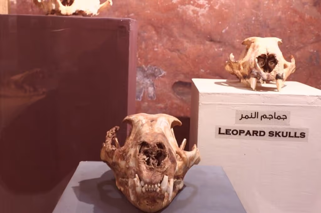 Cairo Private Tour - 