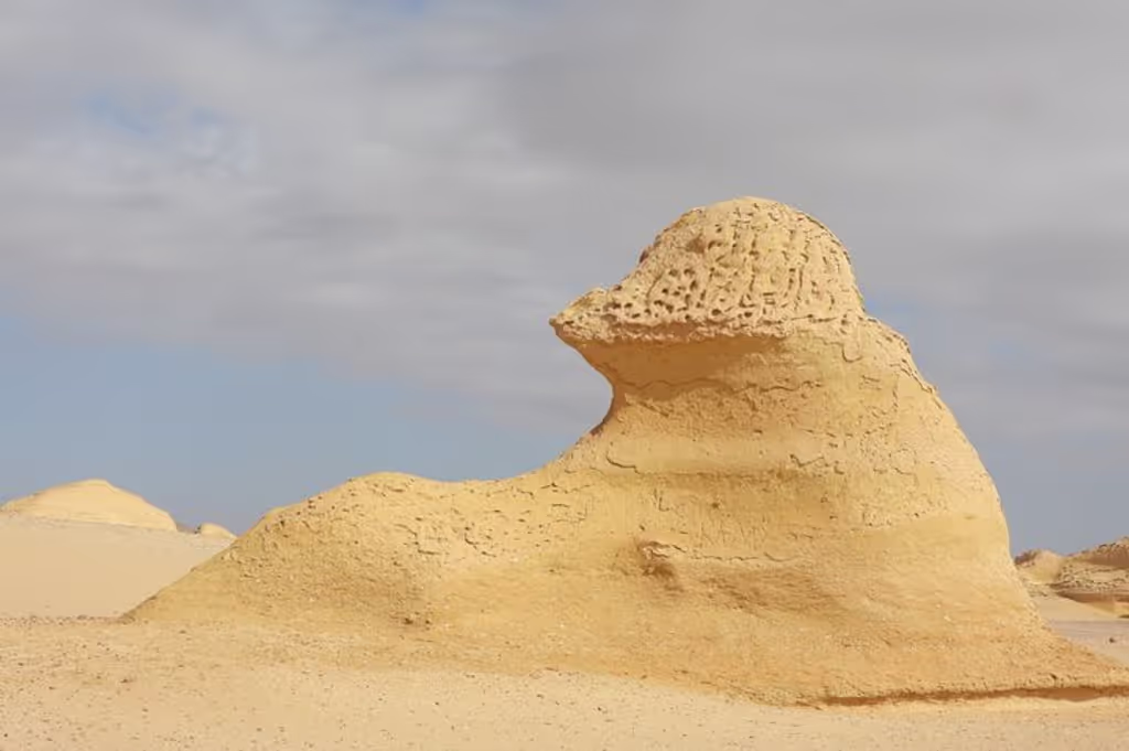 Cairo Private Tour - 