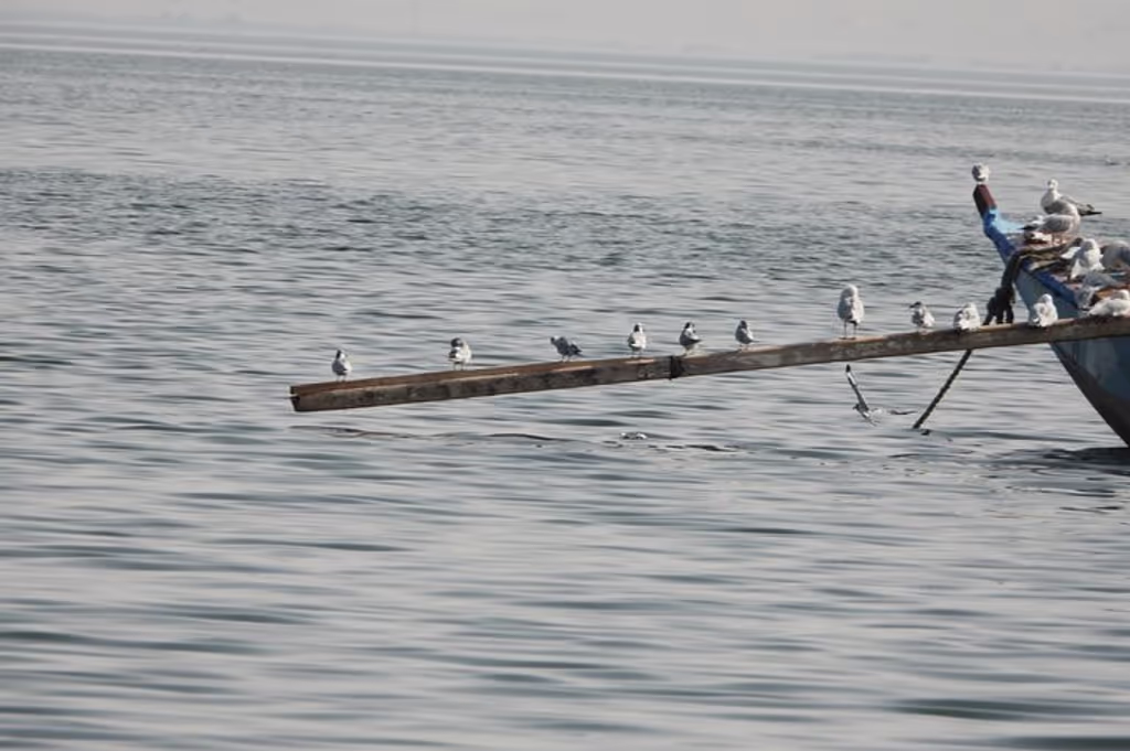 Cairo Private Tour - 