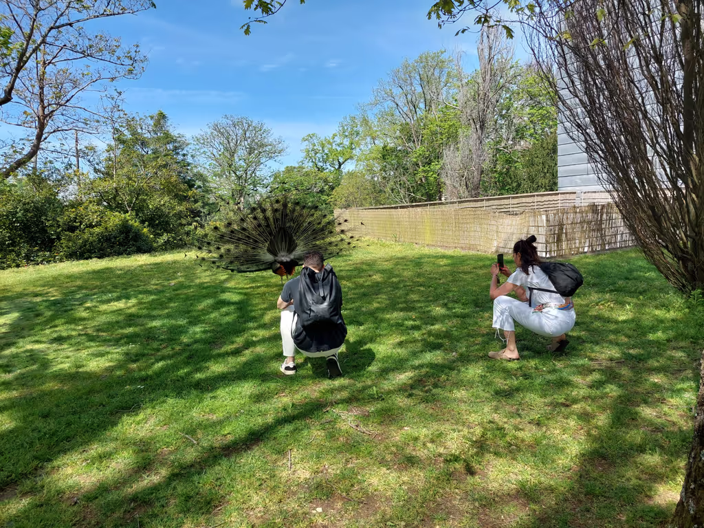 Porto Private Tour - 