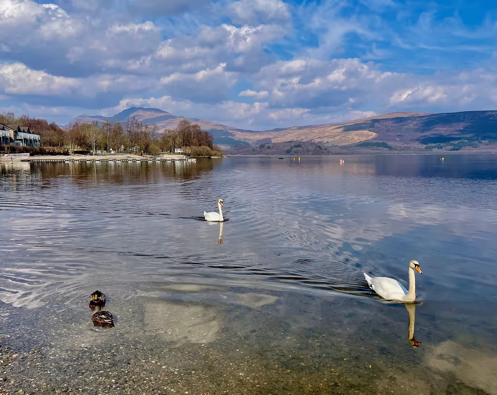 Edinburgh Private Tour - 