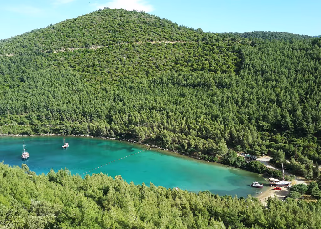Bodrum Private Tour - Turkbuku