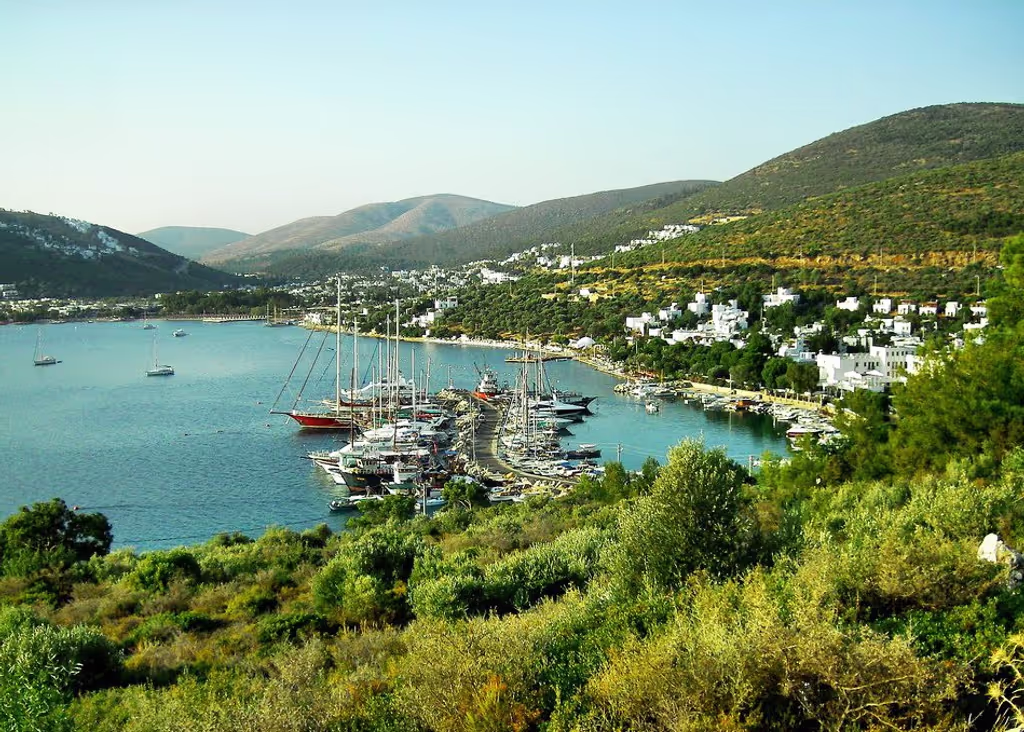 Bodrum Private Tour - Scenic moments across the peninsula