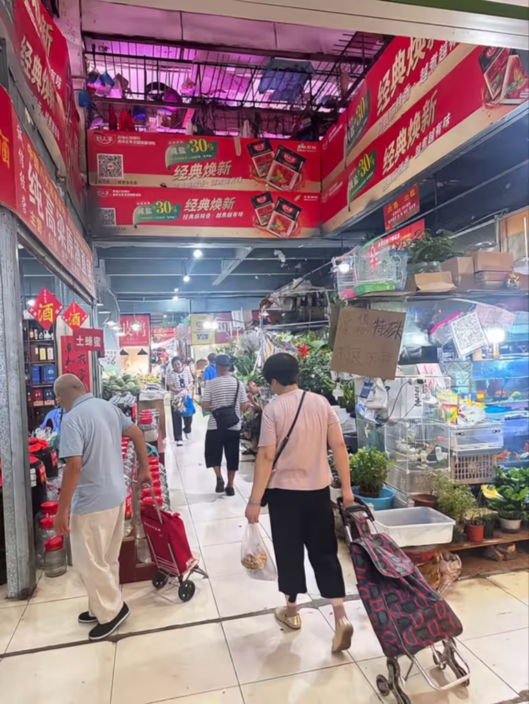 Chengdu Private Tour - 