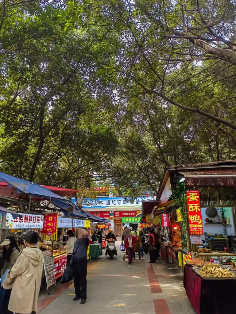 Chengdu Private Tour - 