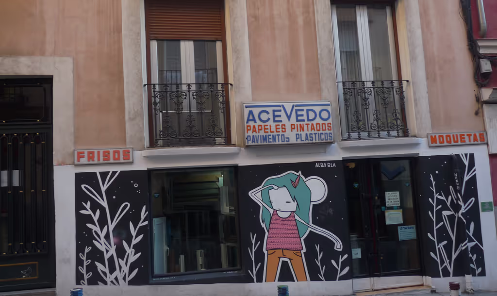 Madrid Private Tour - CALLE Lavapiés