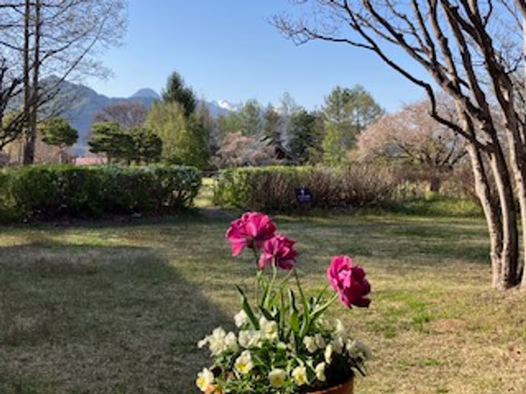Nagano Private Tour - Garden of Chihiro Art Museum