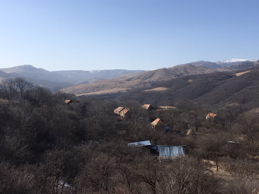 Tbilisi Private Tour - Algeti National Park in winter