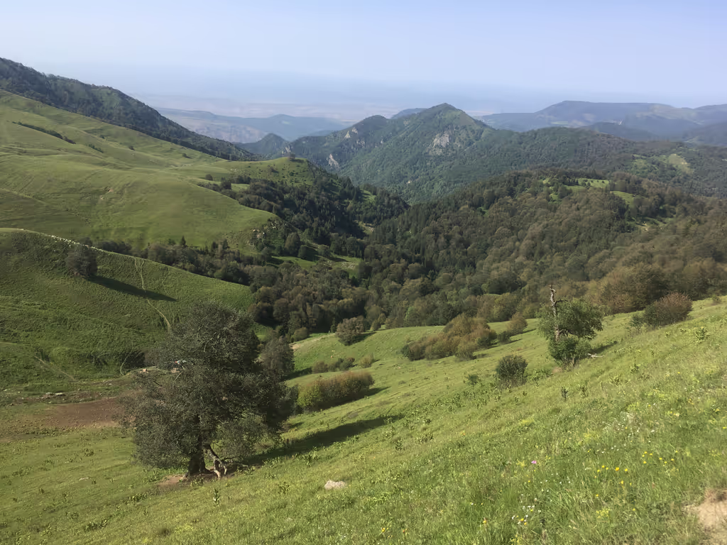 Tbilisi Private Tour - Algeti National Park