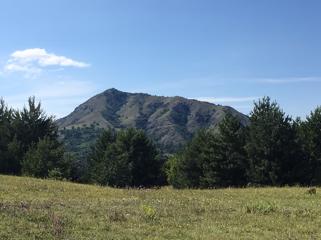 Tbilisi Private Tour - Danakhvisi mountain