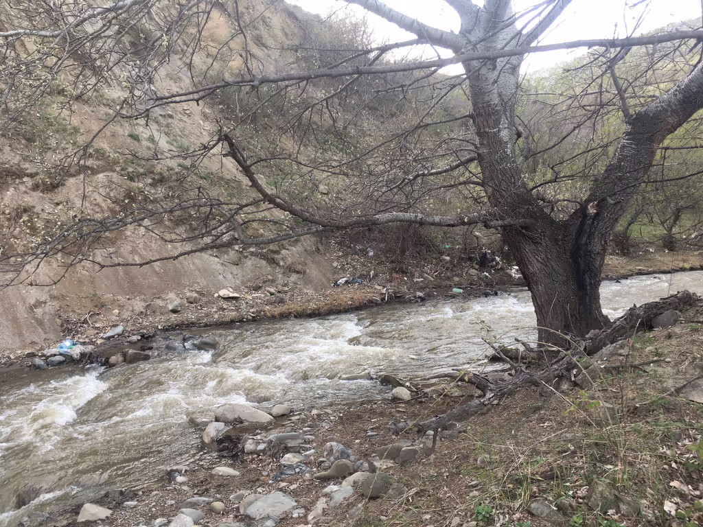 Tbilisi Private Tour - Dighmura river, Dighomi