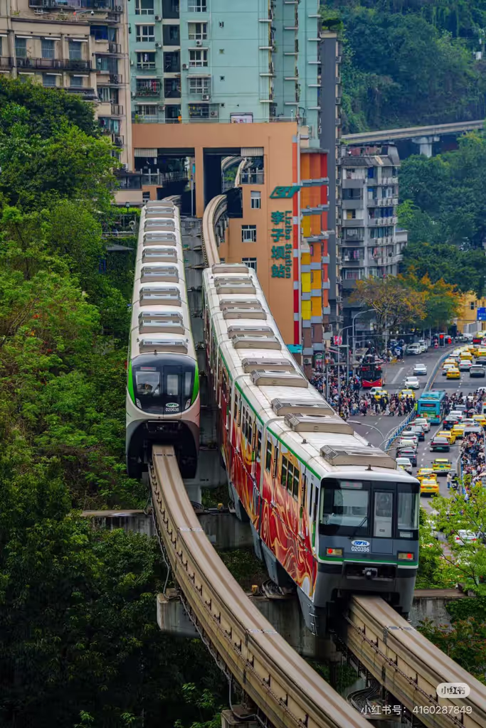 Chongqing Private Tour - 