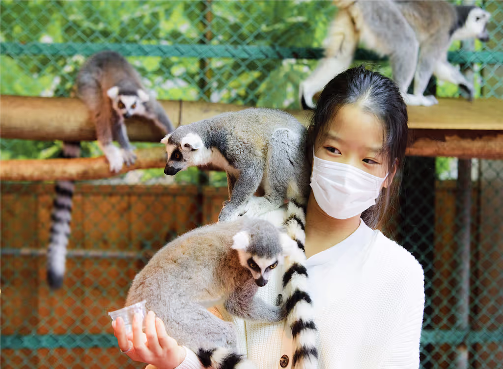 Tochigi Private Tour - 