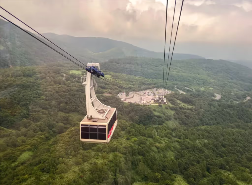 Tochigi Private Tour - 