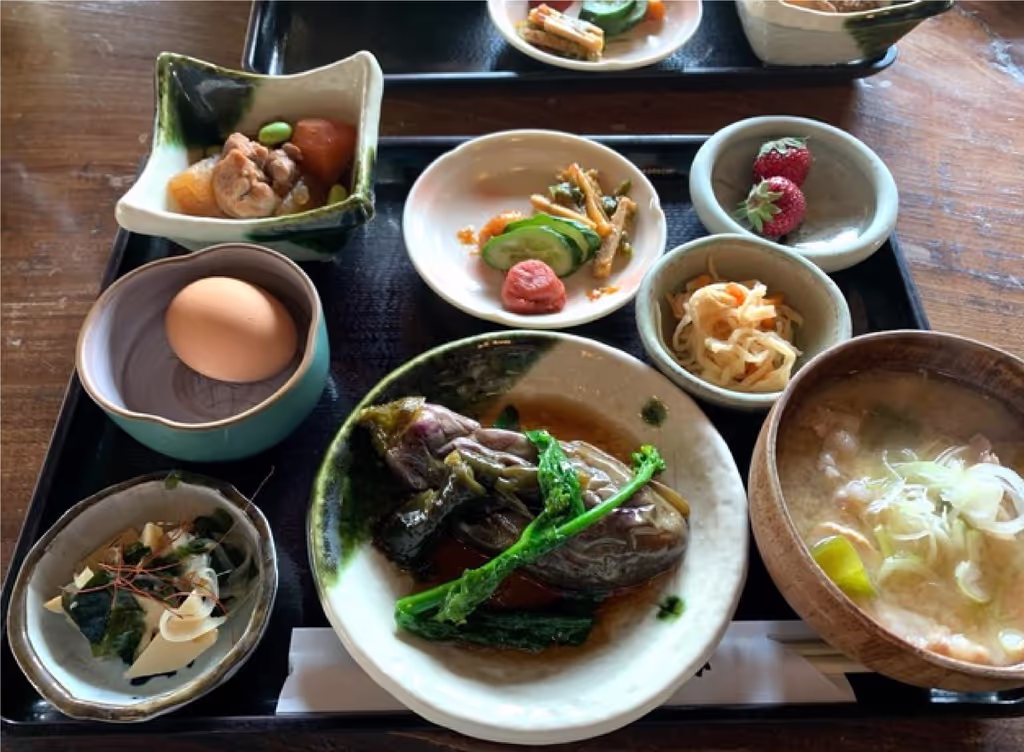 Tochigi Private Tour - 