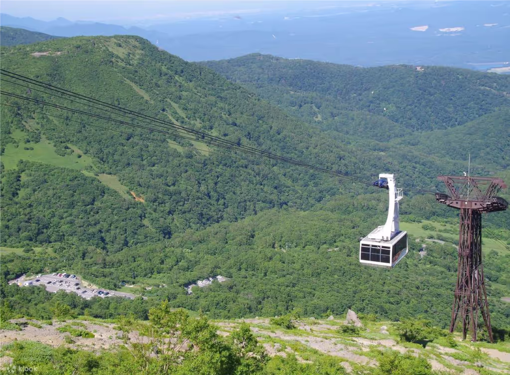 Tochigi Private Tour - 