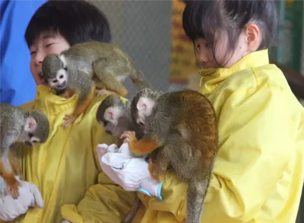 Tochigi Private Tour - 