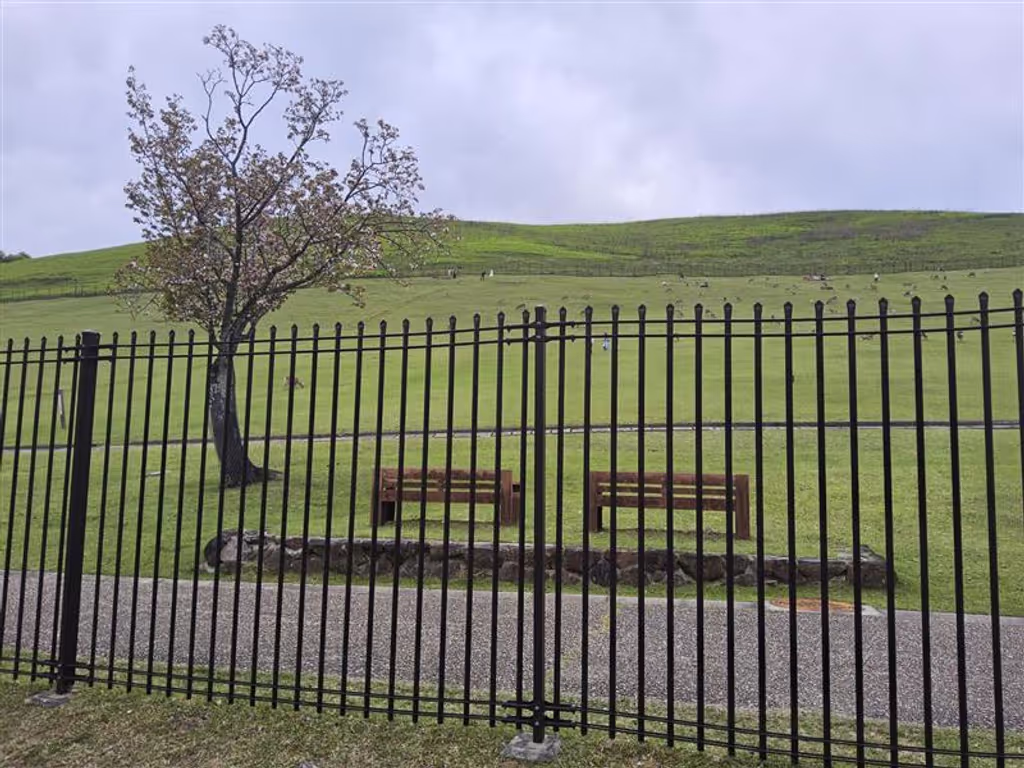 Nara Private Tour - Mount Wakakusa