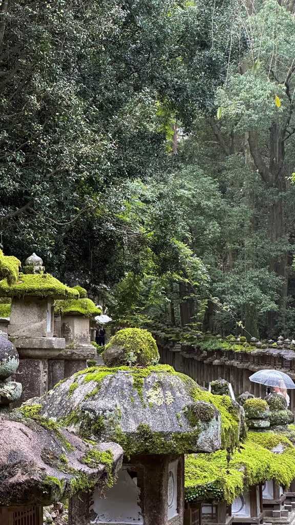 Nara Private Tour - Kasuga Taisha