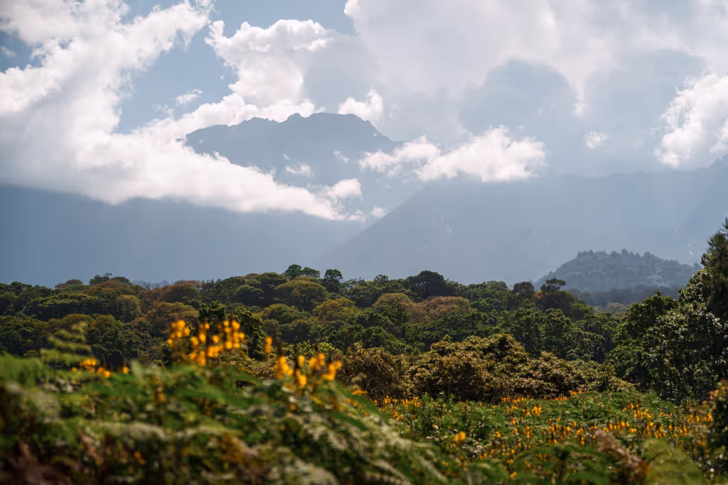 Arusha Private Tour - 