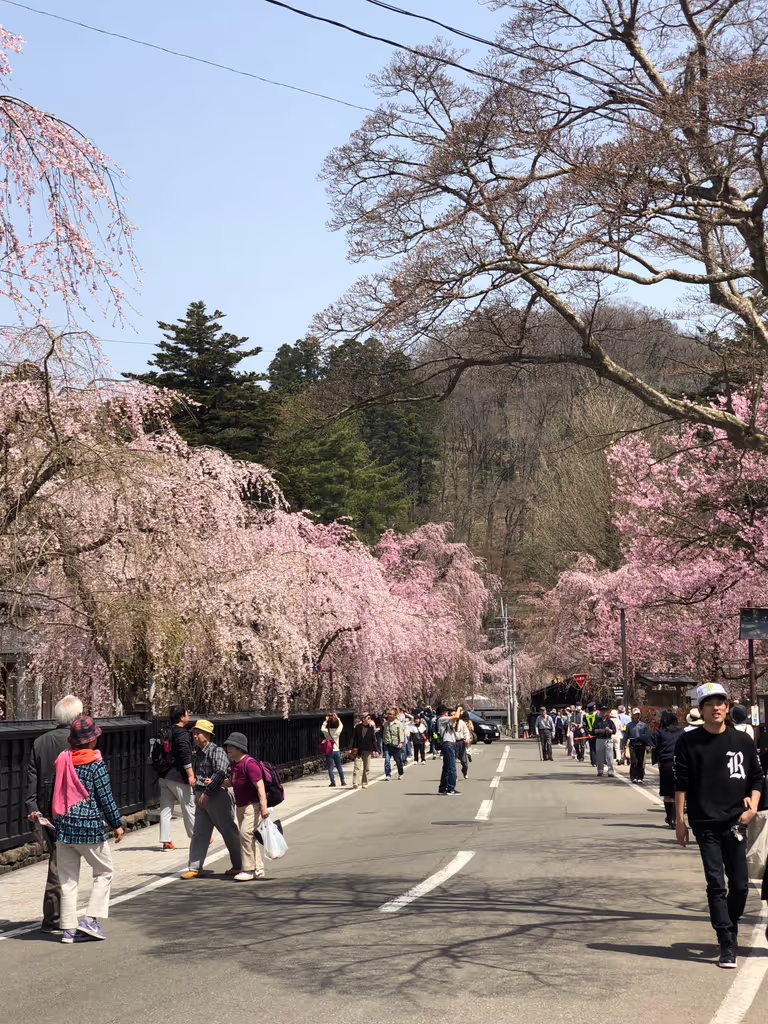 Akita Private Tour - 