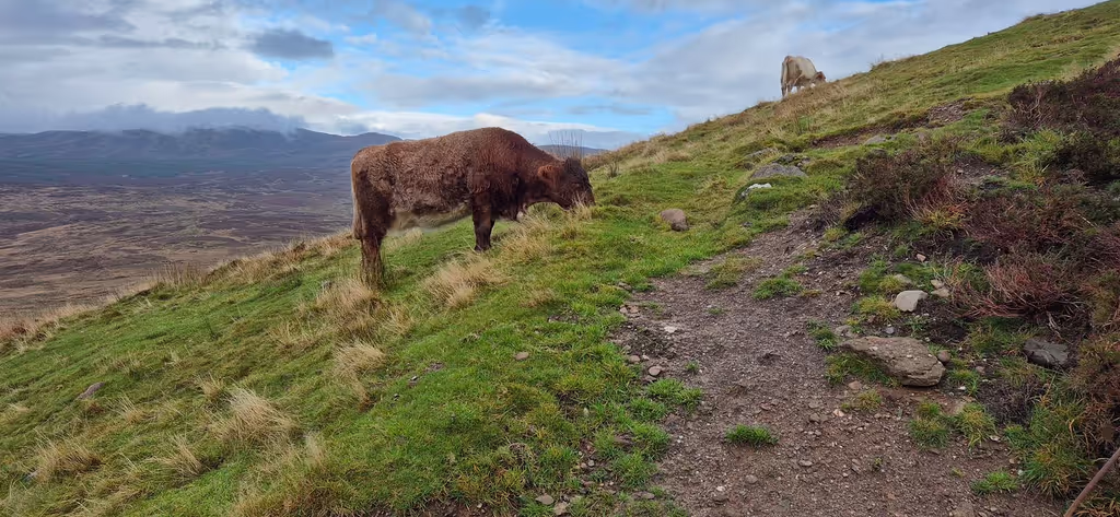 Glasgow Private Tour - 