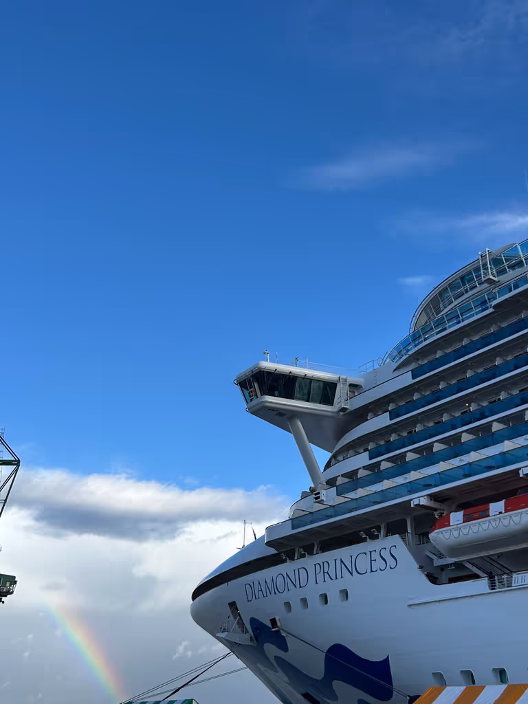 Toyama Private Tour - Cruise ship