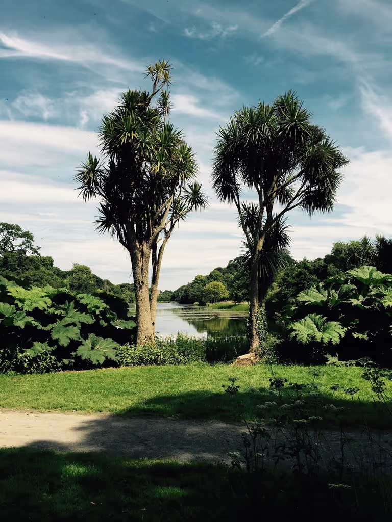 Belfast Private Tour - 