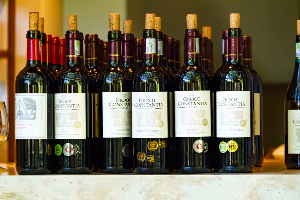 Cape Town Private Tour - 