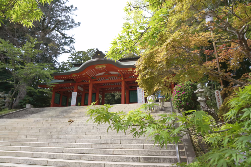 Chiba Private Tour - 