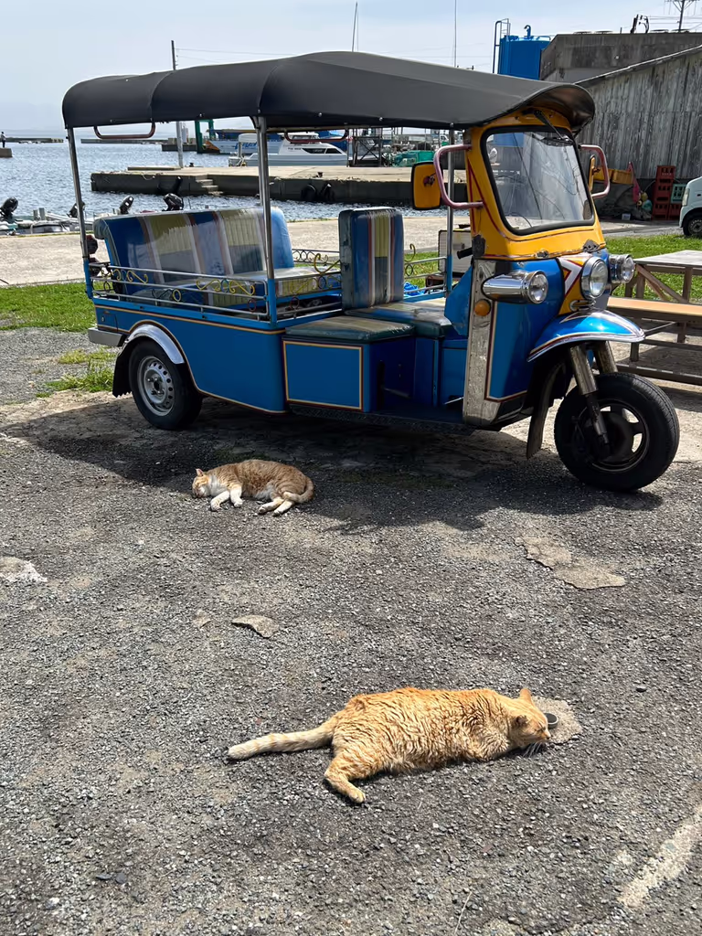 Fukuoka Private Tour - 