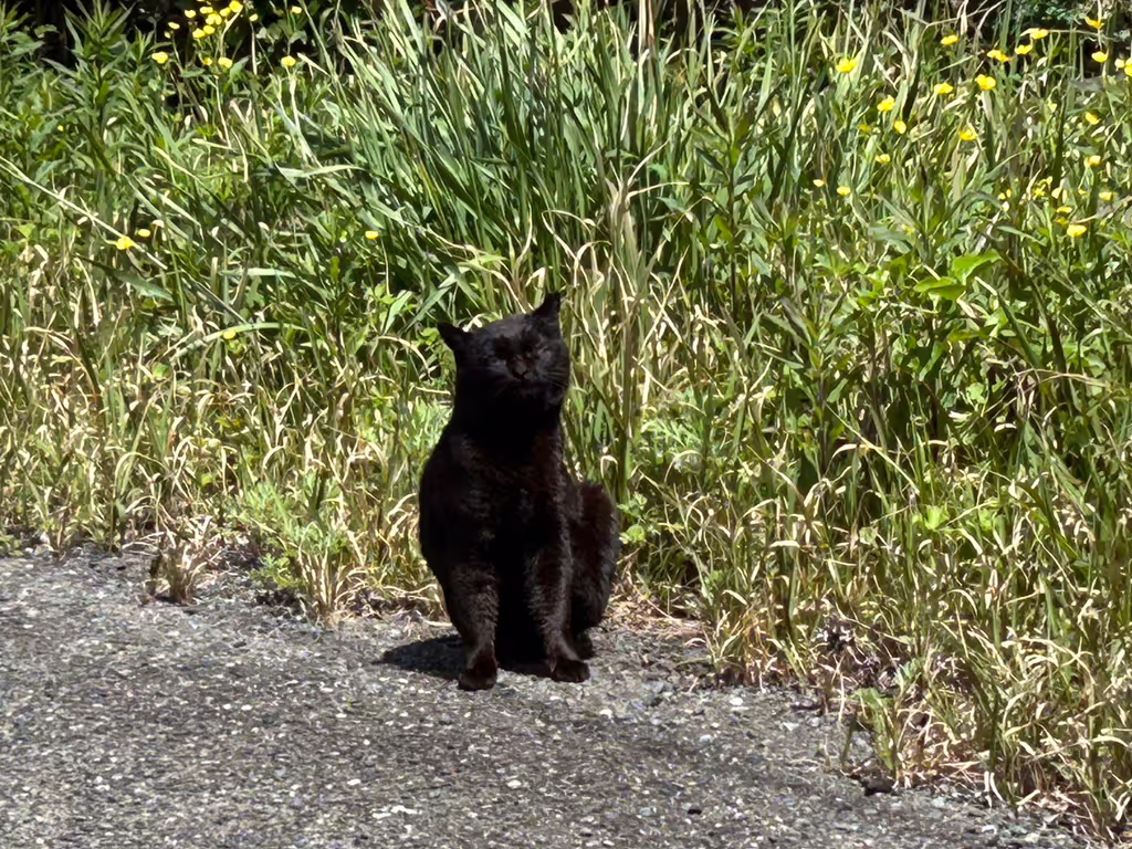 Fukuoka Private Tour - 