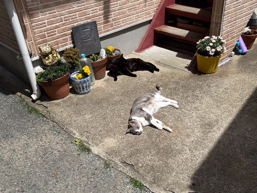 Fukuoka Private Tour - 