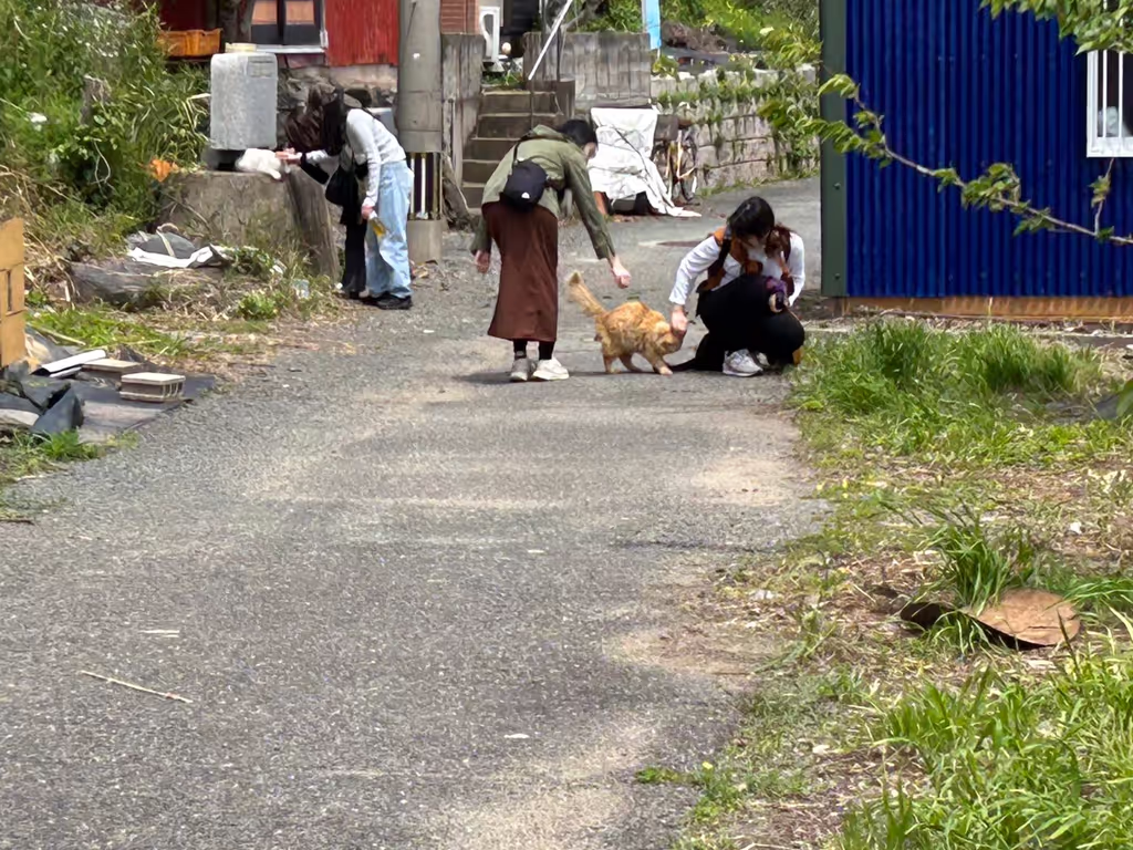 Fukuoka Private Tour - 