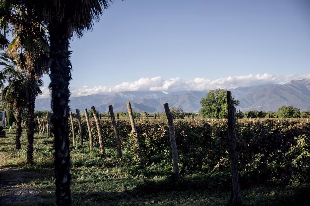 Tbilisi Private Tour - 