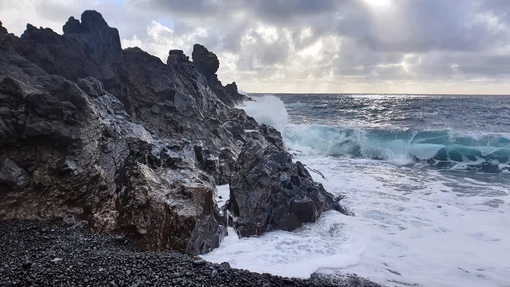 Reykjavik Private Tour - 