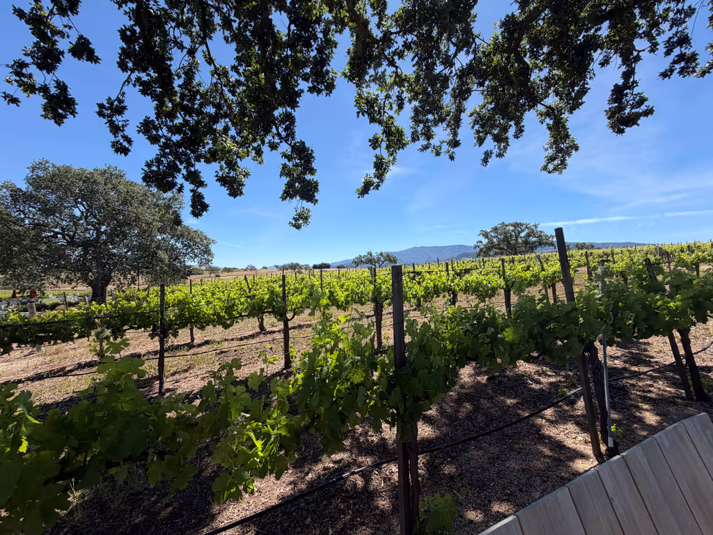 Santa Barbara Private Tour - 