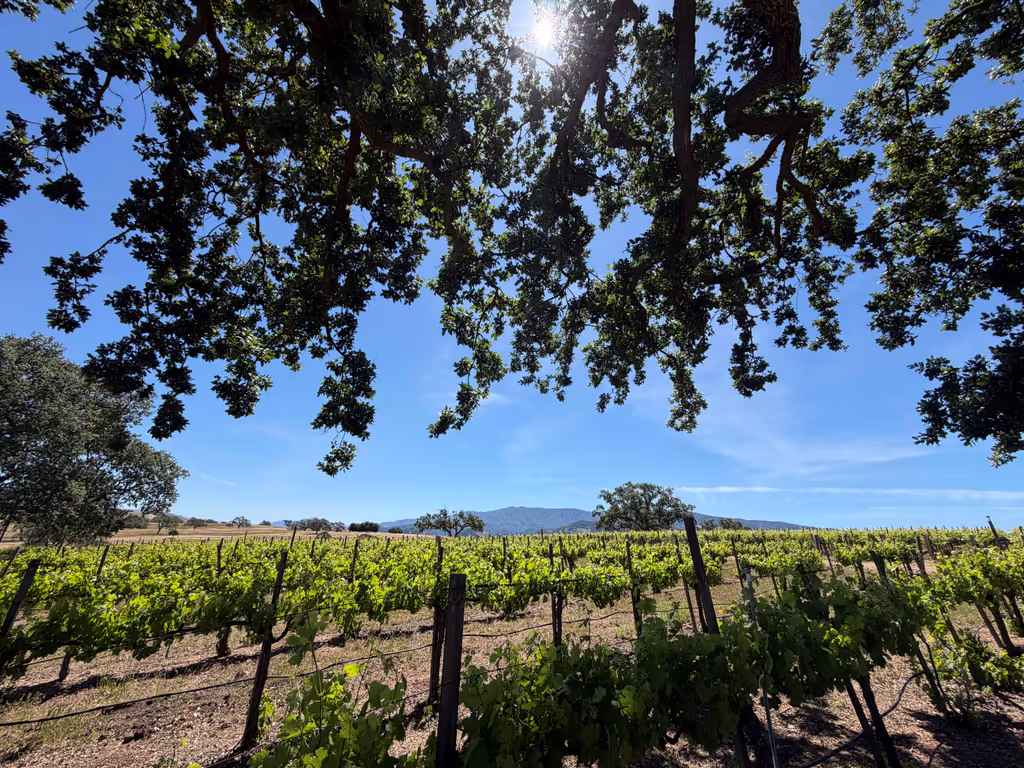 Santa Barbara Private Tour - 
