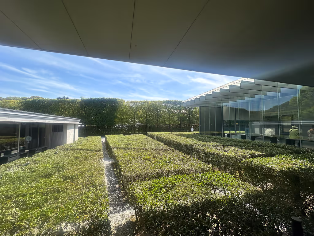 Kyoto Private Tour - 