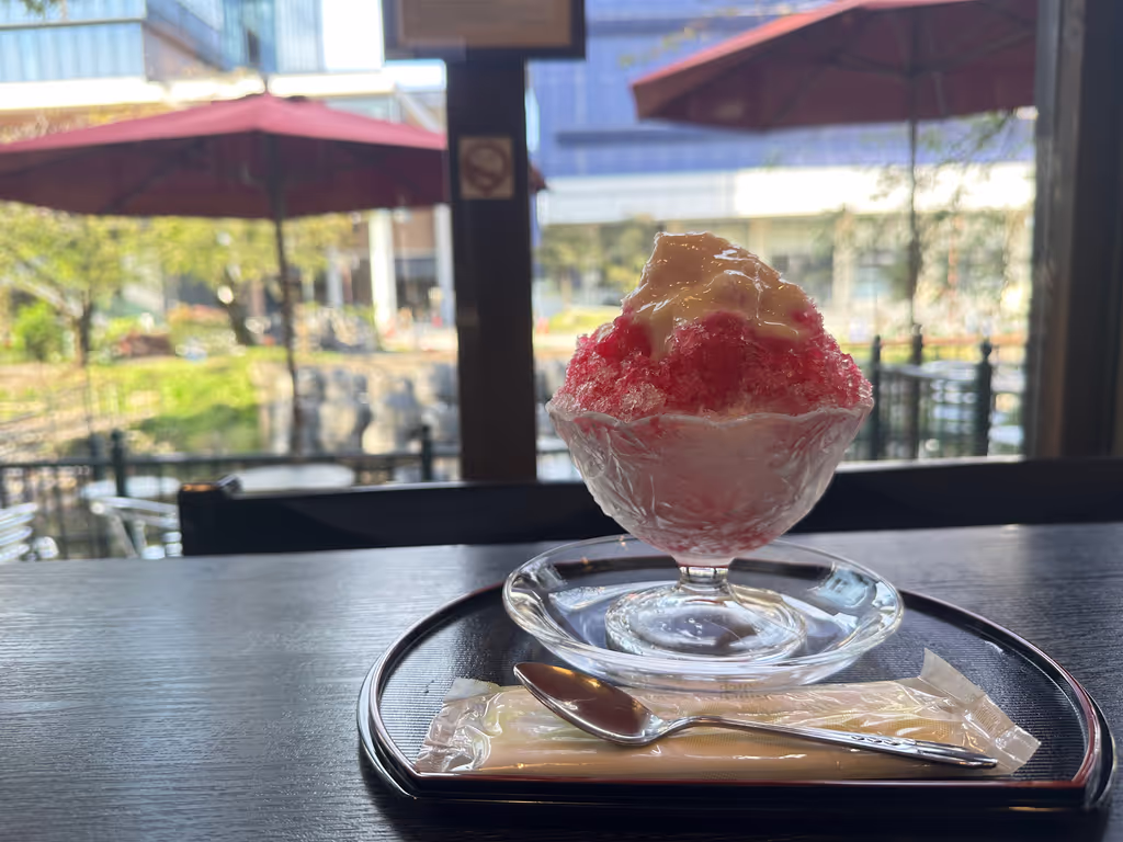 Toyama Private Tour - Shaved ice(Toyama castle)