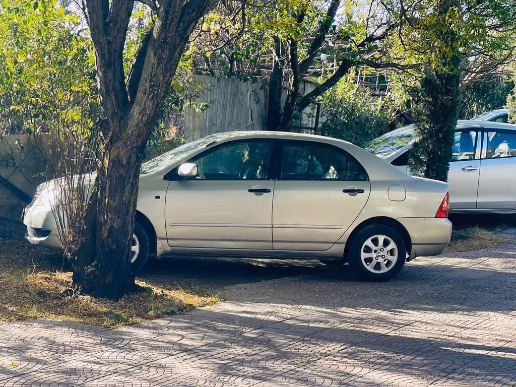 Addis Ababa Private Tour - Toyota sedan for up to three passengers