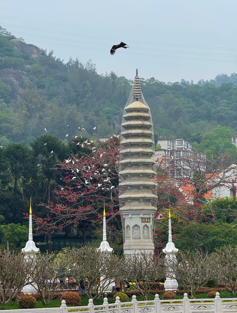Xiamen Private Tour - Antient temple