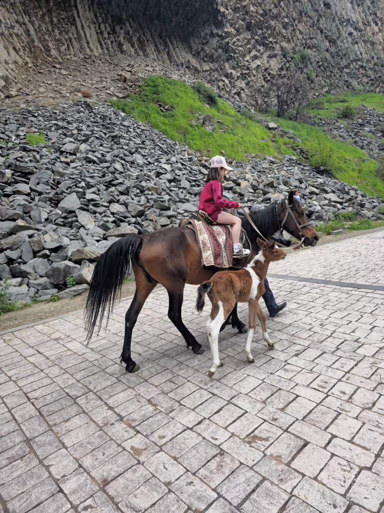 Yerevan Private Tour - 