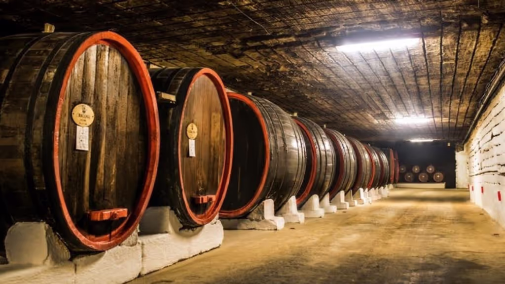 Orhei Private Tour - Cricova - the Underground Kigdom of Wine