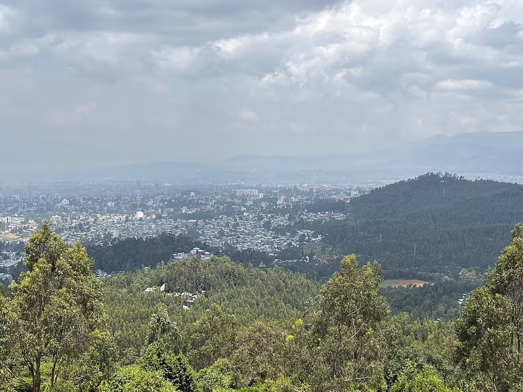 Addis Ababa Private Tour - Panoramic Views of Addis Ababa from Mount Entoto