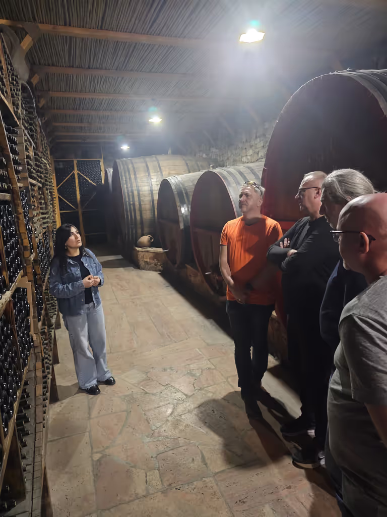 Yerevan Private Tour - Areni