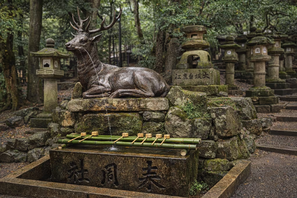 Nara Private Tour - 